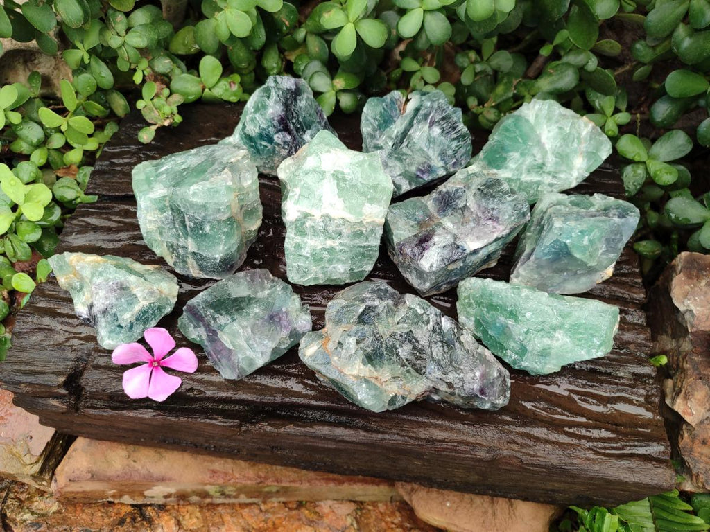 Natural Watermelon Fluorite Cobbed Specimens x 12 From Uis, Namibia