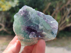 Natural Watermelon Fluorite Cobbed Specimens x 12 From Uis, Namibia