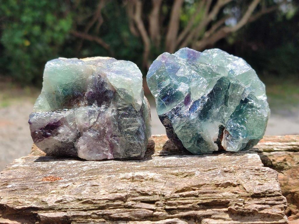 Natural Watermelon Fluorite Cobbed Specimens x 12 From Uis, Namibia