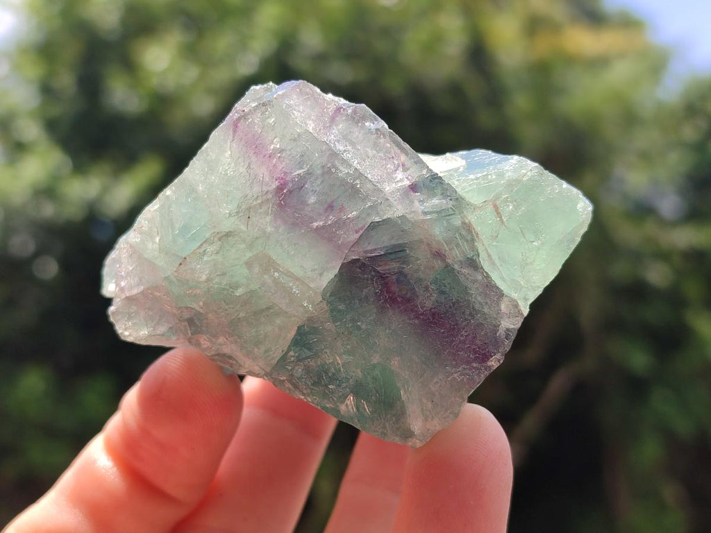 Natural Watermelon Fluorite Cobbed Specimens x 12 From Uis, Namibia