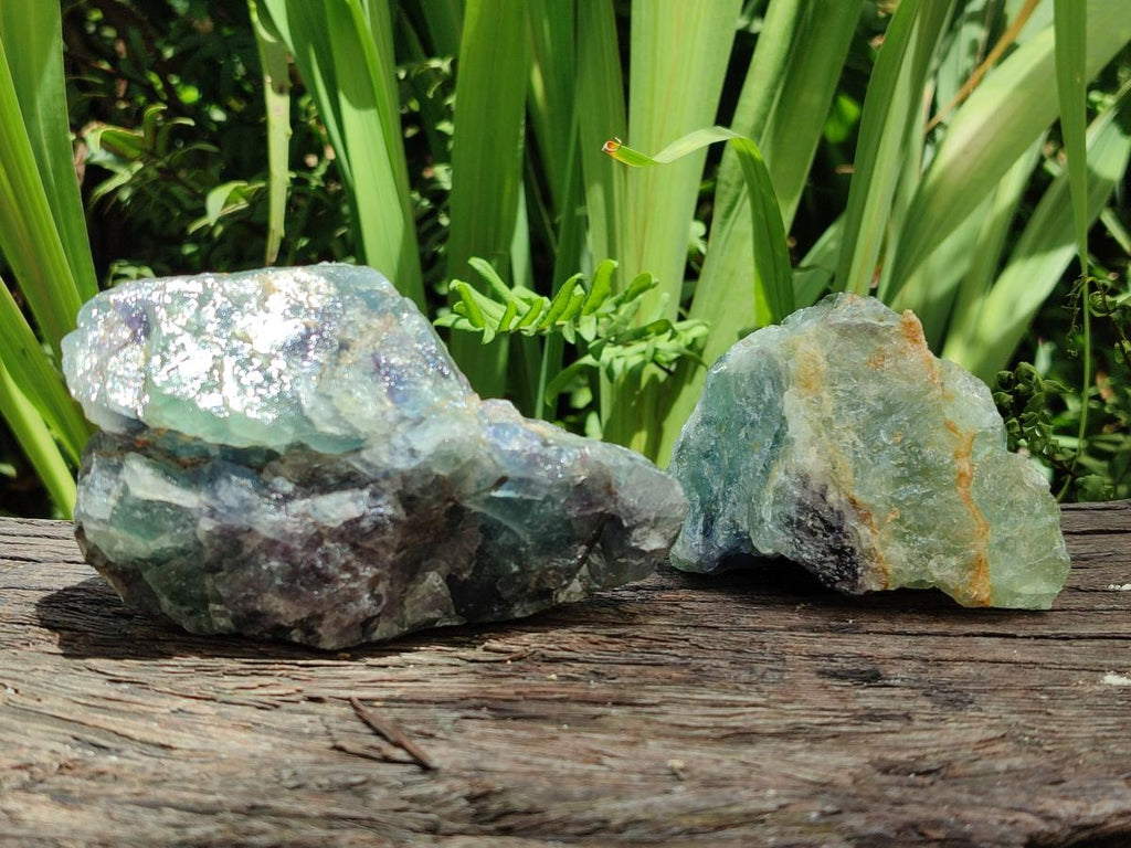 Natural Watermelon Fluorite Cobbed Specimens x 12 From Uis, Namibia