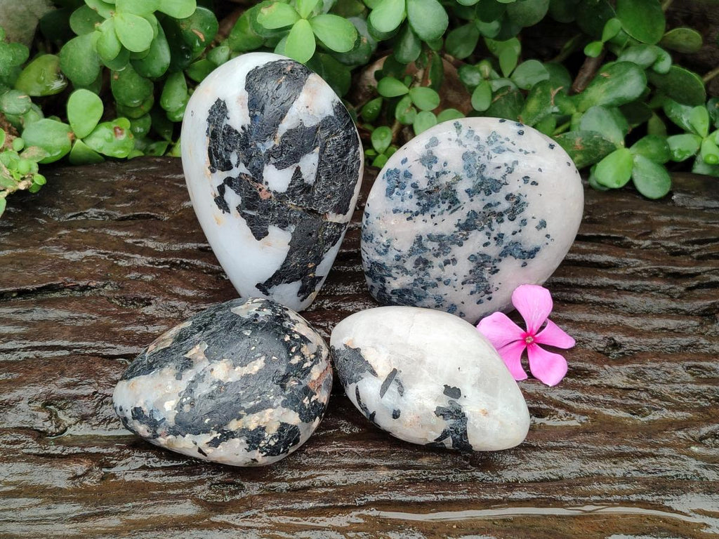 Polished Mixed Tourmalinated Quartz Specimens x 4 From Karibib, Namibia