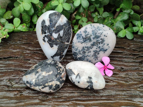 Polished Mixed Tourmalinated Quartz Specimens x 4 From Karibib, Namibia