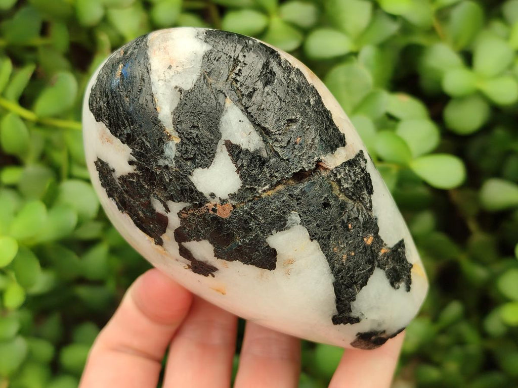 Polished Mixed Tourmalinated Quartz Specimens x 4 From Karibib, Namibia