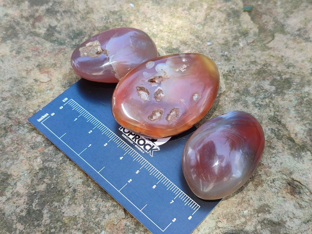 Polished Small Red Shashe River Agate Free Forms x 35 From Shashe River, Zimbabwe