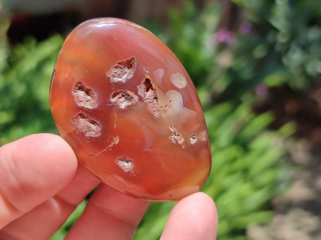 Polished Small Red Shashe River Agate Free Forms x 35 From Shashe River, Zimbabwe