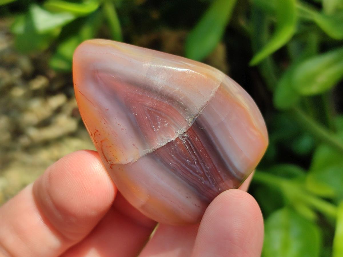 Polished Small Red Shashe River Agate Free Forms x 35 From Shashe River, Zimbabwe