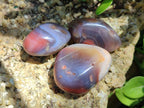 Polished Small Red Shashe River Agate Free Forms x 35 From Shashe River, Zimbabwe