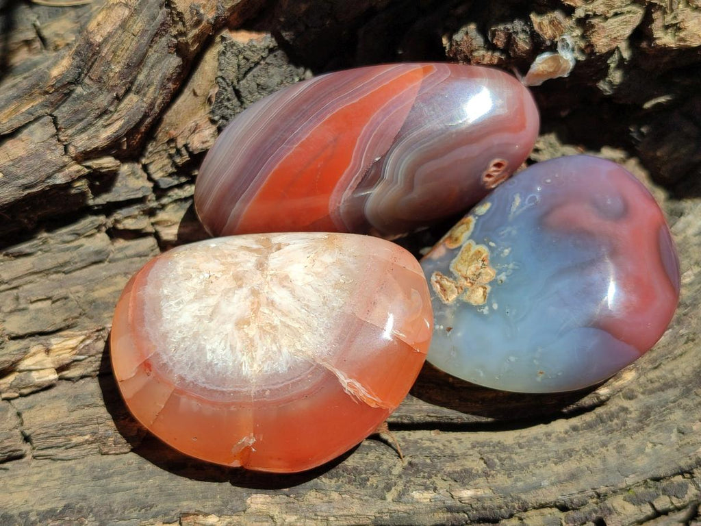 Polished Small Red Shashe River Agate Free Forms x 35 From Shashe River, Zimbabwe