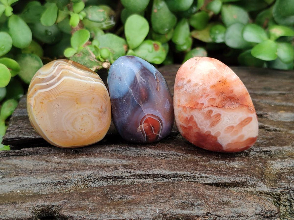 Polished Small Red Shashe River Agate Free Forms x 35 From Shashe River, Zimbabwe