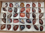 Polished Small Red Shashe River Agate Free Forms x 35 From Shashe River, Zimbabwe