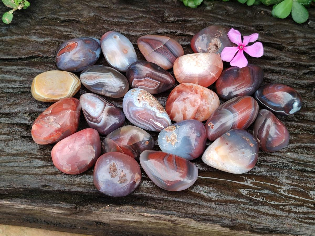 Polished Small Red Shashe River Agate Free Forms x 35 From Shashe River, Zimbabwe