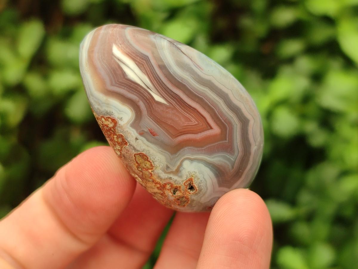 Polished Small Red Shashe River Agate Free Forms x 35 From Shashe River, Zimbabwe