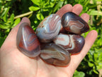 Polished Small Red Shashe River Agate Free Forms x 35 From Shashe River, Zimbabwe