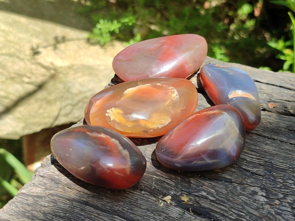 Polished Small Red Shashe River Agate Free Forms x 35 From Shashe River, Zimbabwe