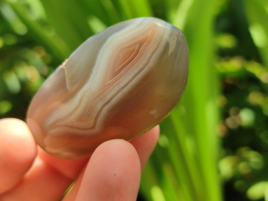Polished Small Red Shashe River Agate Free Forms x 35 From Shashe River, Zimbabwe