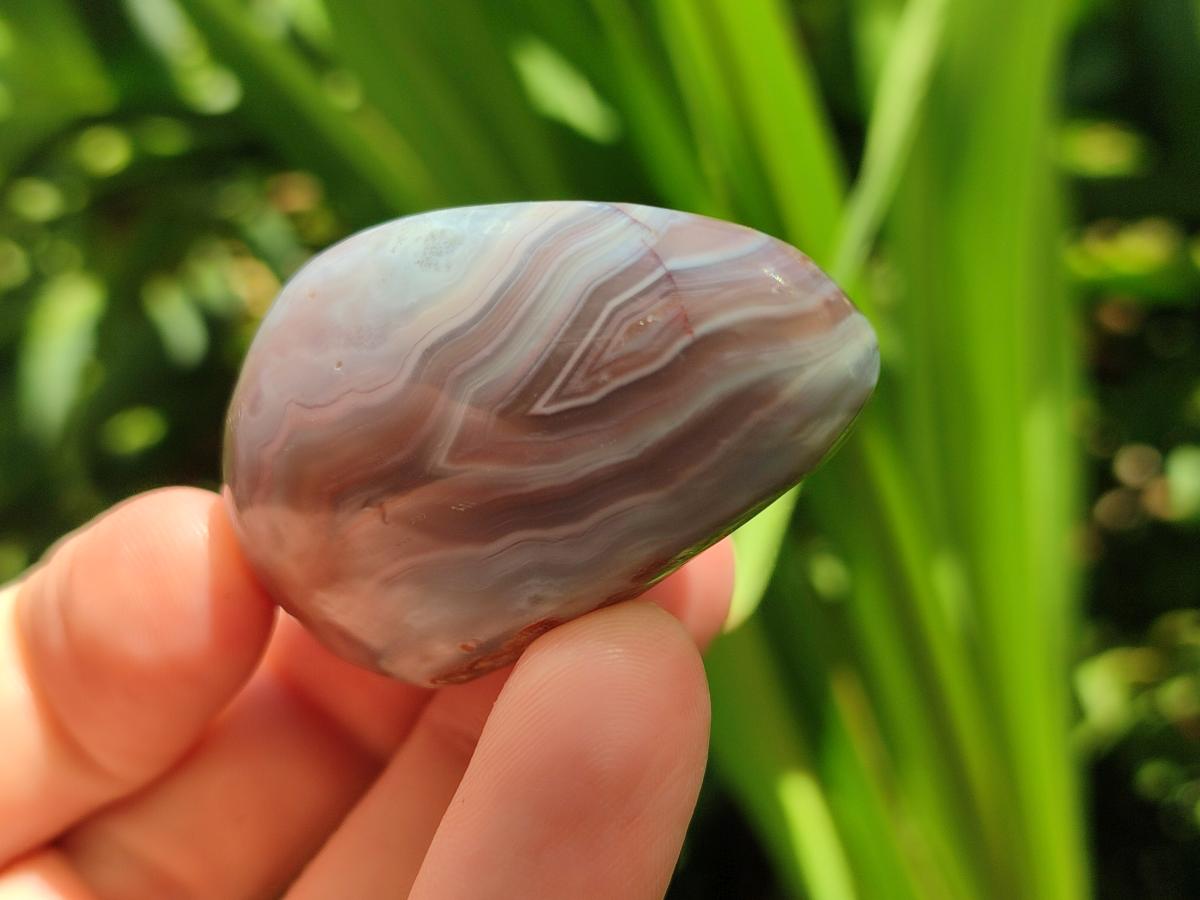 Polished Small Red Shashe River Agate Free Forms x 35 From Shashe River, Zimbabwe