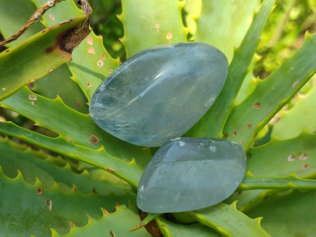 Polished Blue Celestite Free Form Crystals x 20 From Sakoany, Madagascar
