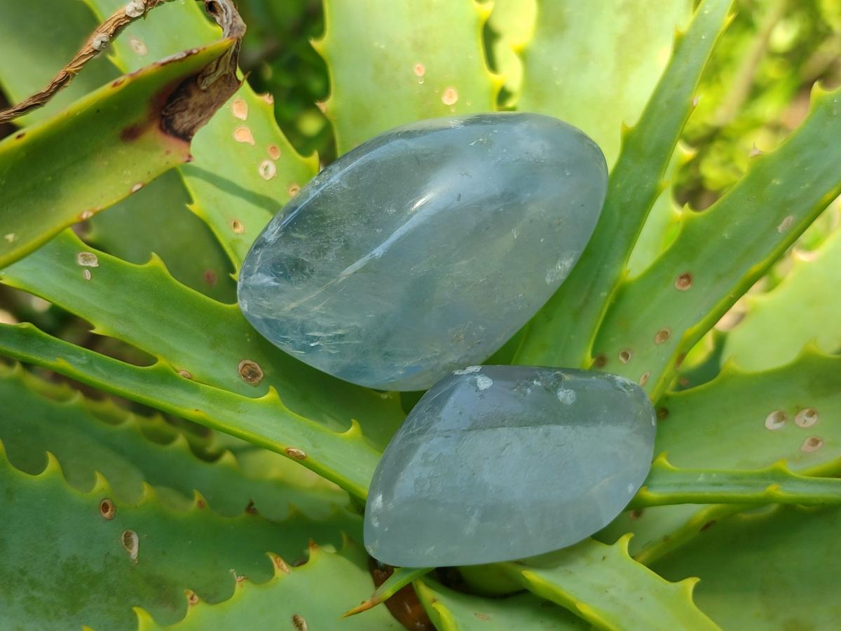 Polished Blue Celestite Free Form Crystals x 20 From Sakoany, Madagascar
