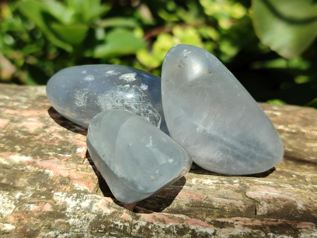 Polished Blue Celestite Free Form Crystals x 20 From Sakoany, Madagascar