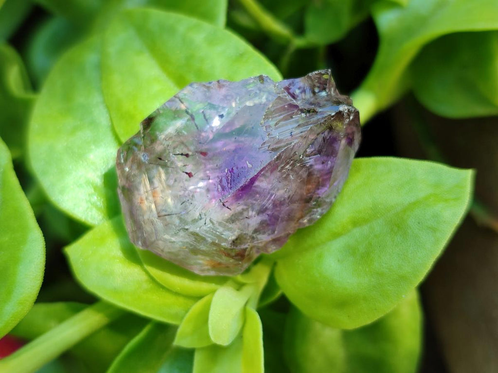 Natural Smokey Amethyst Crystals x 20 From Chiredzi, Zimbabwe