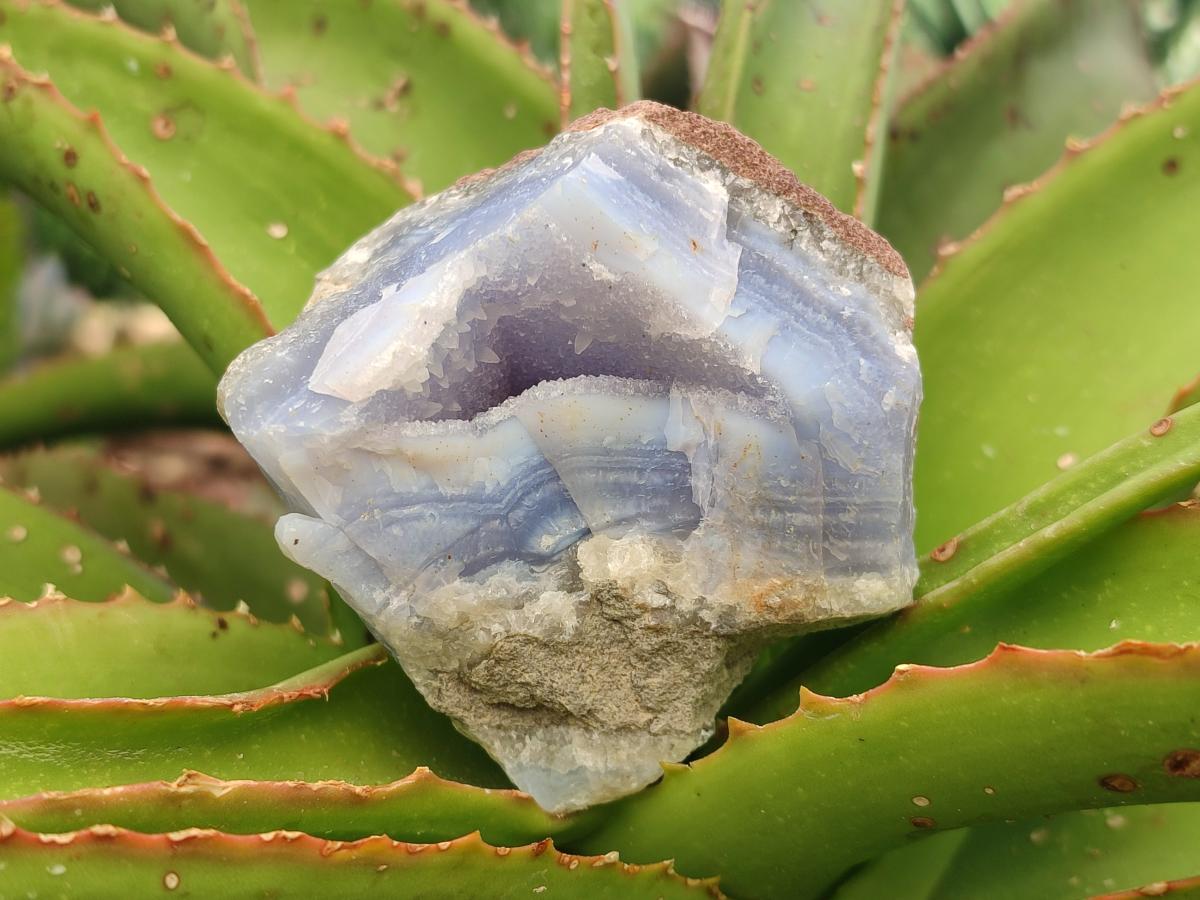 Natural Blue Lace Agate Geode Specimens x 6 From Nsanje, Malawi