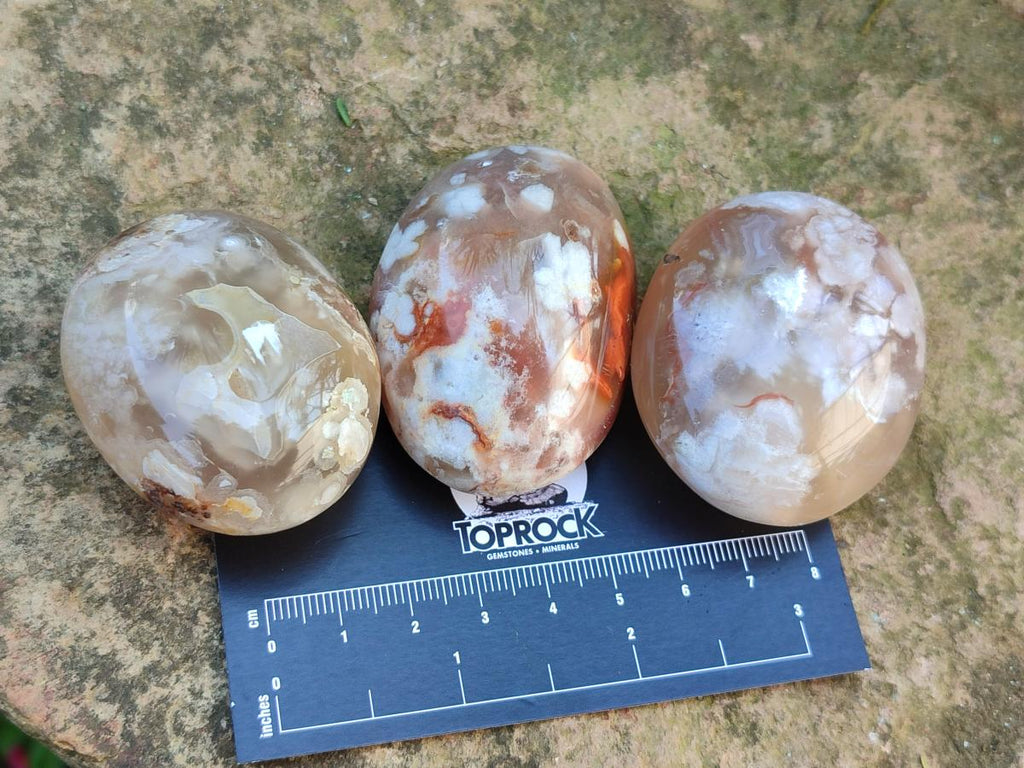Polished Flower Agate Palm Stones x 20 From Antsahalova, Madagascar