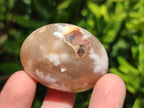 Polished Flower Agate Palm Stones x 20 From Antsahalova, Madagascar