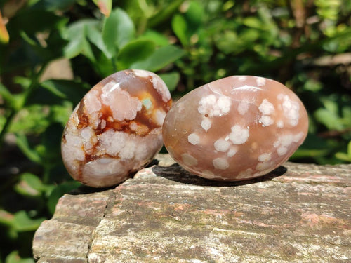 Polished Flower Agate Palm Stones x 20 From Antsahalova, Madagascar
