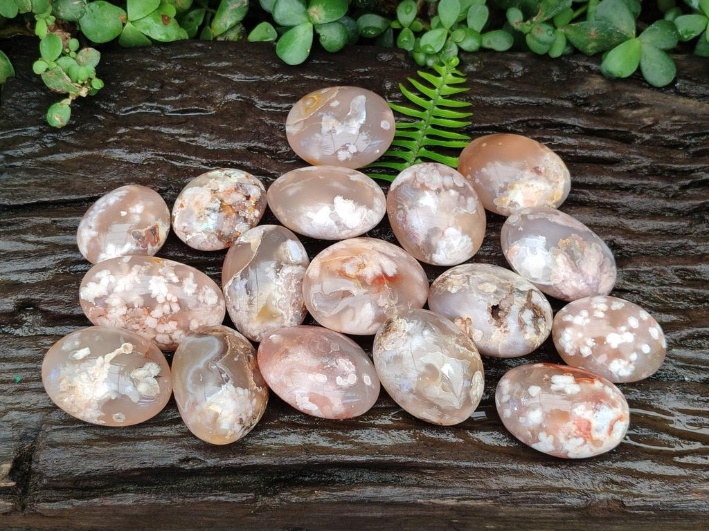 Polished Flower Agate Palm Stones x 20 From Antsahalova, Madagascar