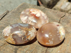 Polished Flower Agate Palm Stones x 20 From Antsahalova, Madagascar