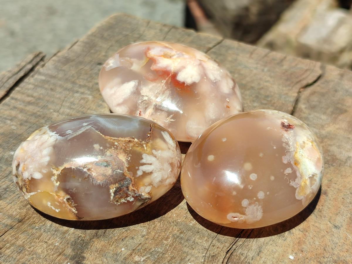 Polished Flower Agate Palm Stones x 20 From Antsahalova, Madagascar