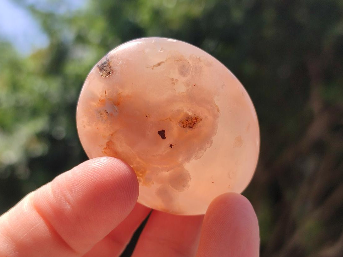 Polished Flower Agate Palm Stones x 20 From Antsahalova, Madagascar