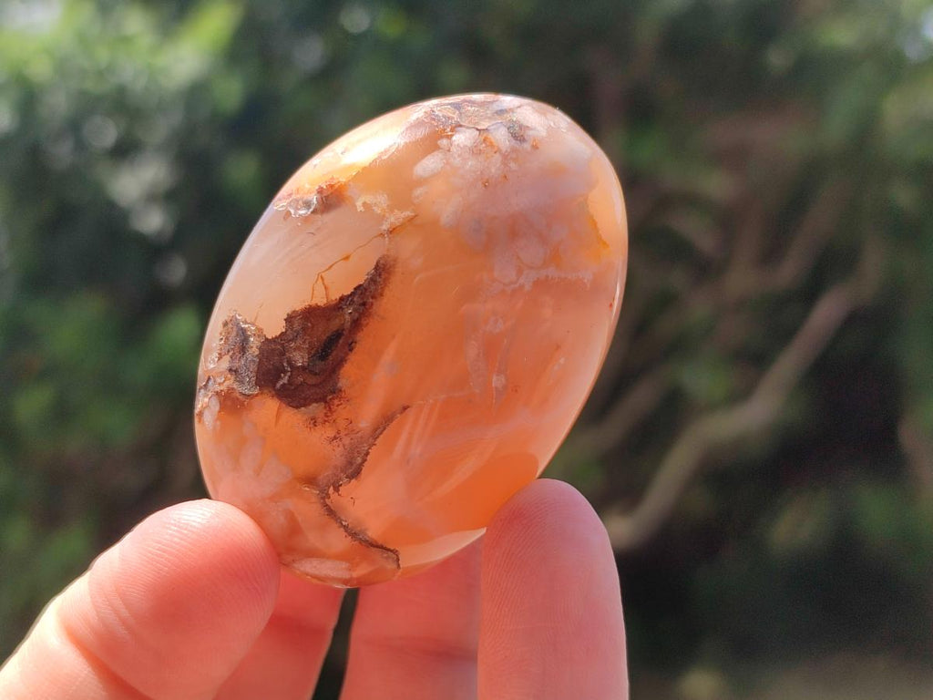 Polished Flower Agate Palm Stones x 20 From Antsahalova, Madagascar