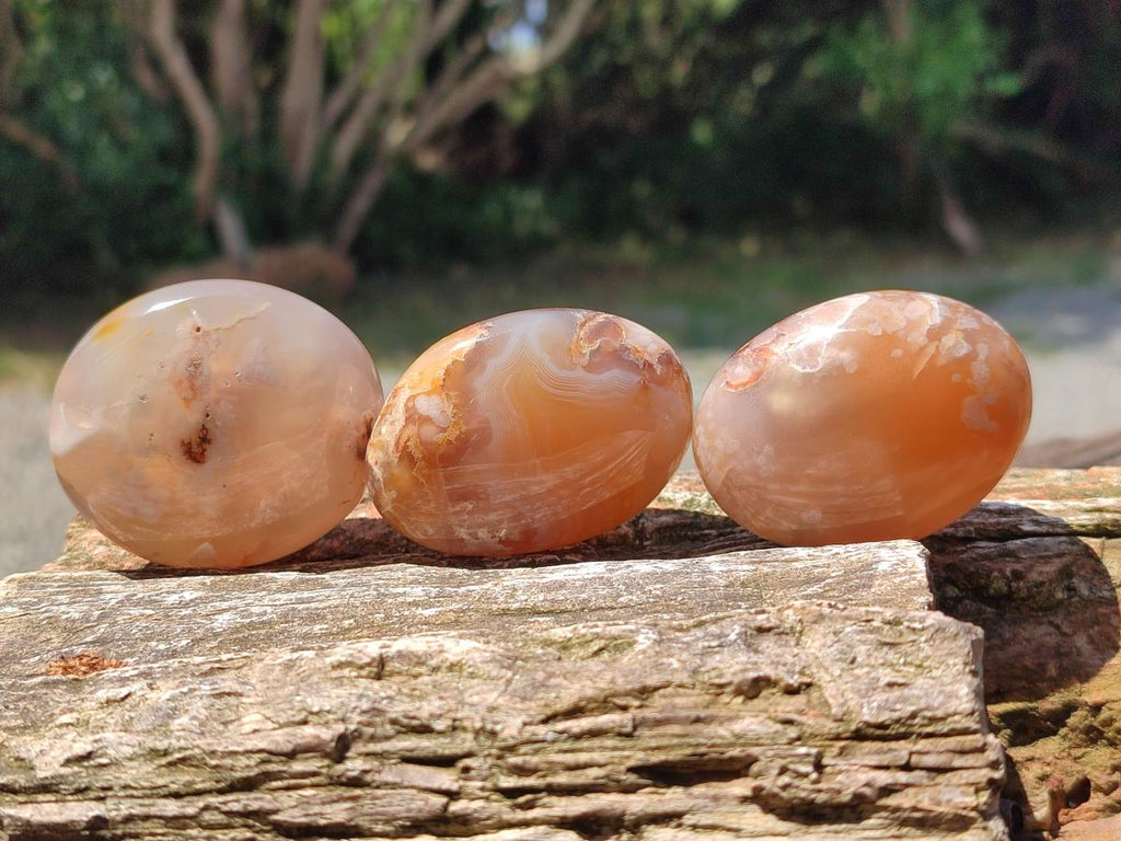 Polished Flower Agate Palm Stones x 20 From Antsahalova, Madagascar
