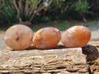 Polished Flower Agate Palm Stones x 20 From Antsahalova, Madagascar