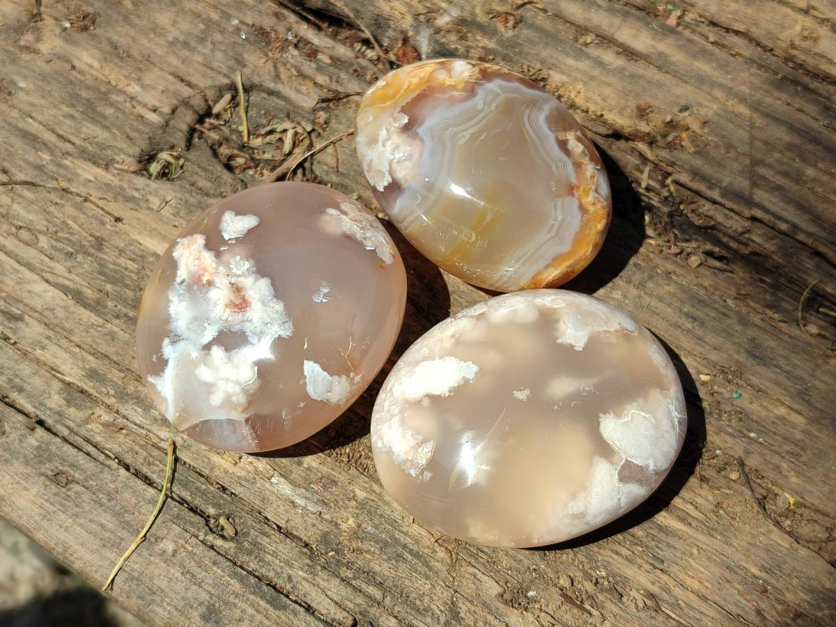 Polished Flower Agate Palm Stones x 20 From Antsahalova, Madagascar