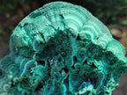 Natural Large Botryoidal Malachite Specimen x 1 From Congo