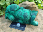 Natural Large Botryoidal Malachite Specimen x 1 From Congo