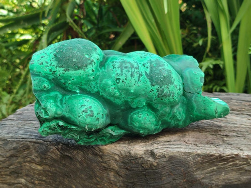 Natural Large Botryoidal Malachite Specimen x 1 From Congo