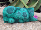 Natural Large Botryoidal Malachite Specimen x 1 From Congo