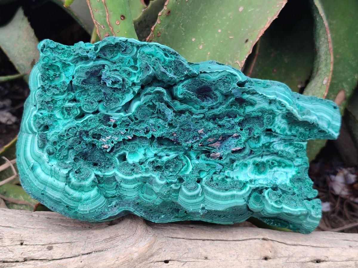 Natural Large Botryoidal Malachite Specimen x 1 From Congo