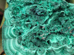Natural Large Botryoidal Malachite Specimen x 1 From Congo