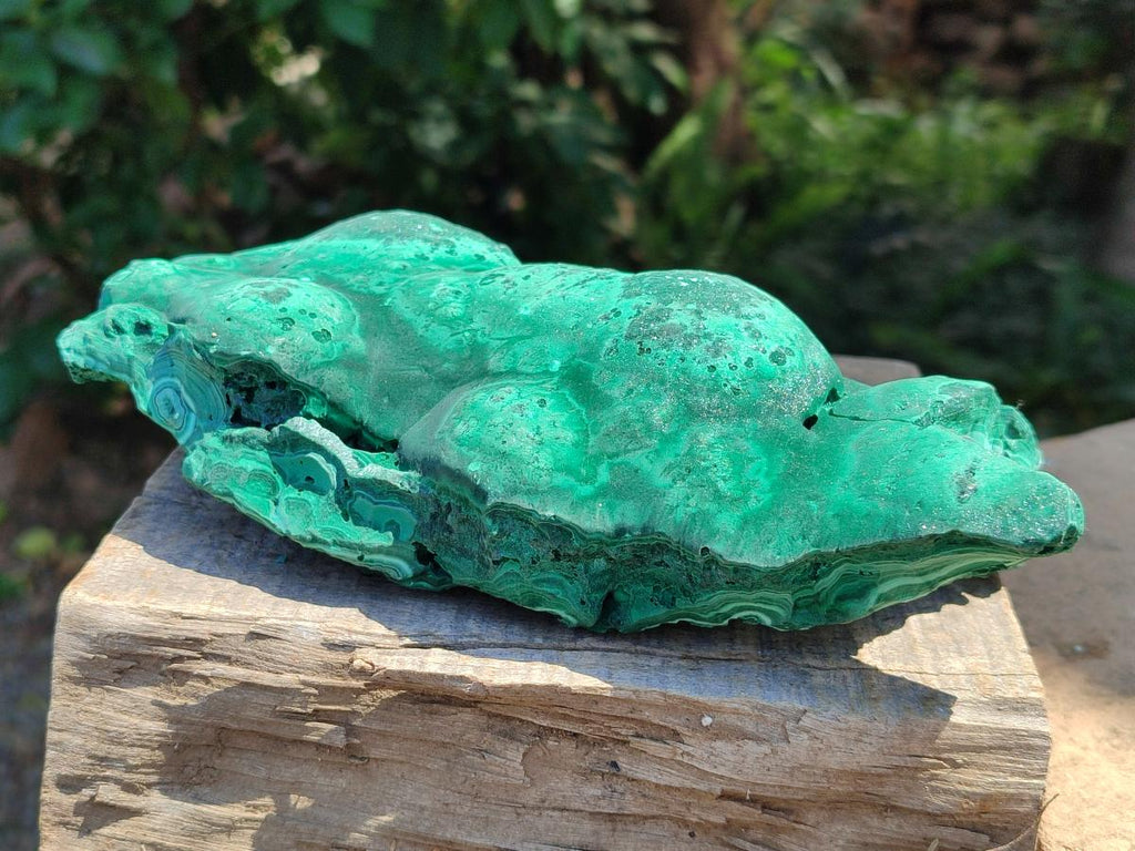 Natural Large Botryoidal Malachite Specimen x 1 From Congo