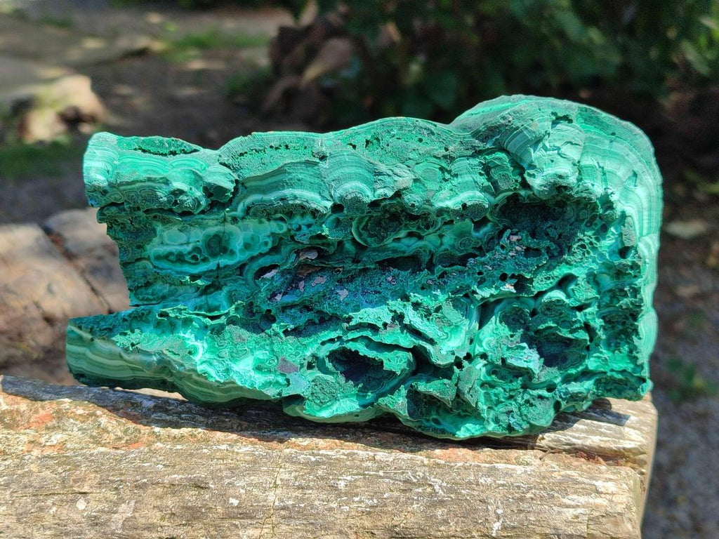 Natural Large Botryoidal Malachite Specimen x 1 From Congo