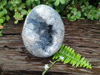 Polished Large Blue Celestite Egg x 1 From Sakoany, Madagascar