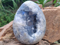 Polished Large Blue Celestite Egg x 1 From Sakoany, Madagascar