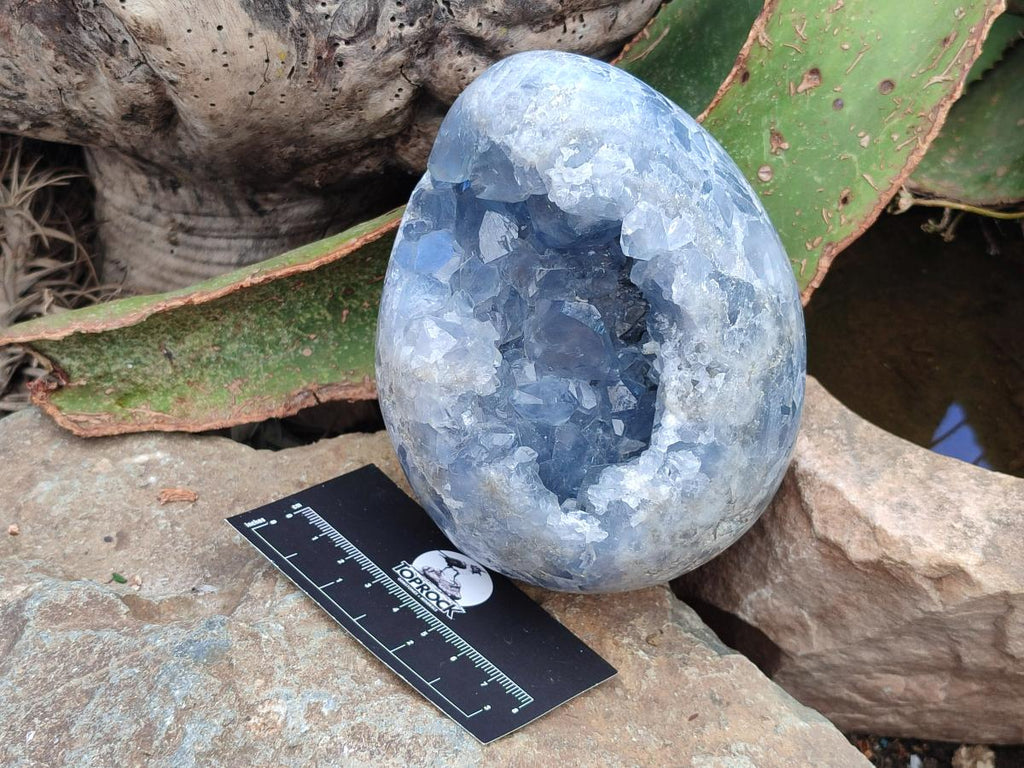 Polished Large Blue Celestite Egg x 1 From Sakoany, Madagascar