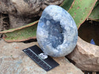 Polished Large Blue Celestite Egg x 1 From Sakoany, Madagascar