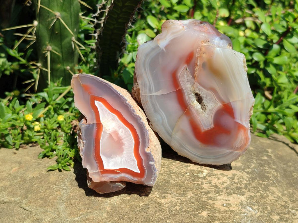 Polished One Side Red Shashe River Agate Nodules x 2 From Shashe River, Zimbabwe